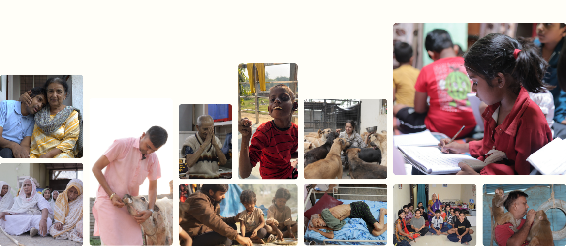 True Impact Foundation Banner