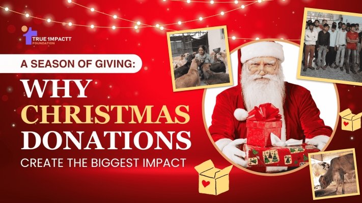 ⁠A Season of Giving: Why Christmas Donations Create the Biggest Impact